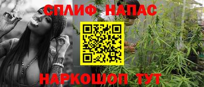 винт Владимир