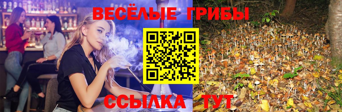 Псилоцибиновые грибы ЛСД Каменск-Шахтинский
